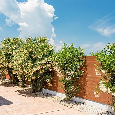 Vila Blossom
