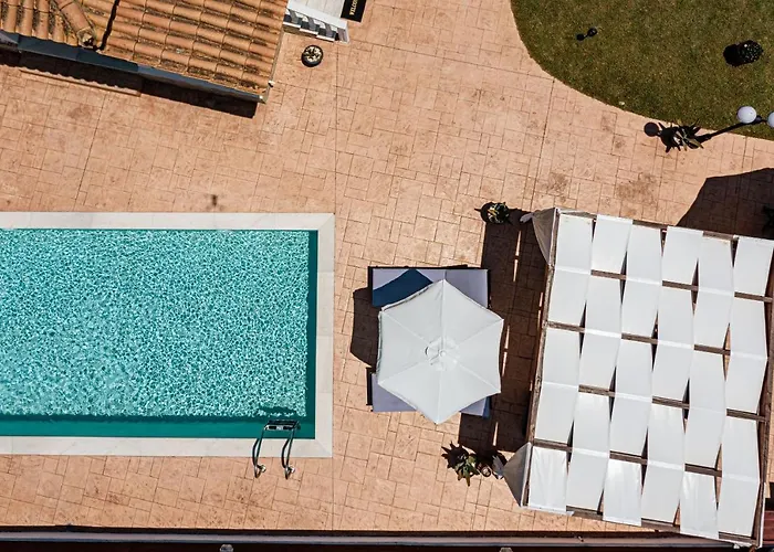 Blossom 라가나스