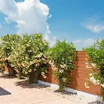 Vila Blossom